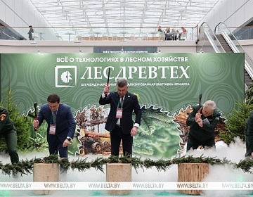 Новинки техники, деревянные дома и дары леса. Выставка "Лесдревтех" стартовала в Минске