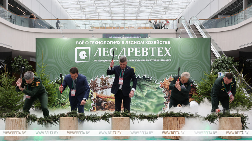 Новинки техники, деревянные дома и дары леса. Выставка "Лесдревтех" стартовала в Минске Новинки техники, деревянные дома и дары леса. Выставка "Лесдревтех" стартовала в Минске