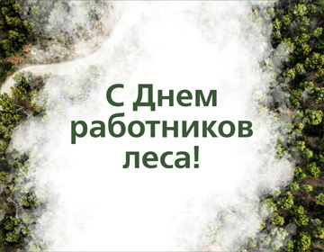 Поздравляем коллег и партнеров с Днем работников леса!