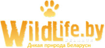 wild_life