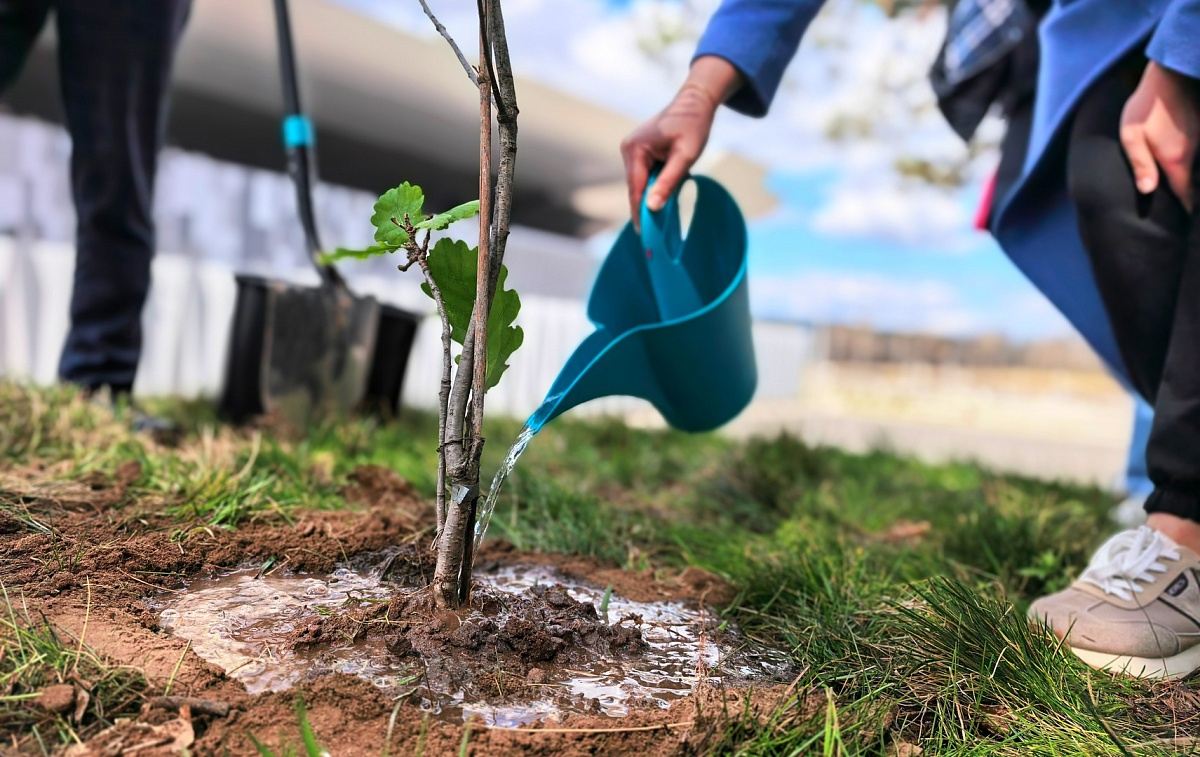 В BELEXPO поддержали республиканский субботник работами по благоустройству и наведению порядка