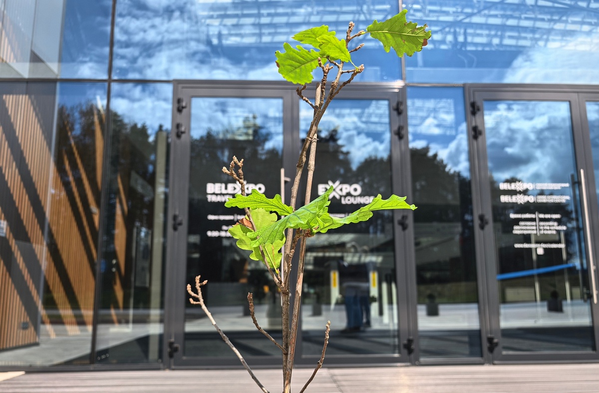 В BELEXPO поддержали республиканский субботник работами по благоустройству и наведению порядка