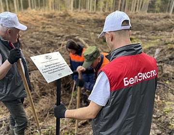 Участники акции «Аднавім лясы разам» восстановили поврежденный массив в лесничестве под Минском